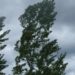 O nouă avertizare meteorologică: Cod galben de vânt puternic în toată țara
