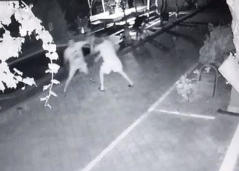 Doi polițiști au fost demiși, iar patru – sancționați, după ce au bătut paznicul și administratorul unei baze de odihnă din Ialoveni