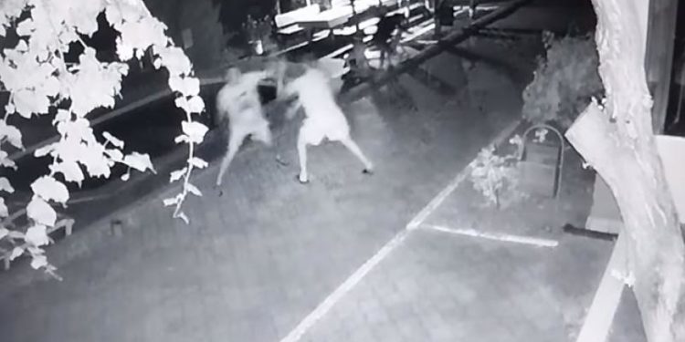 Doi polițiști au fost demiși, iar patru – sancționați, după ce au bătut paznicul și administratorul unei baze de odihnă din Ialoveni