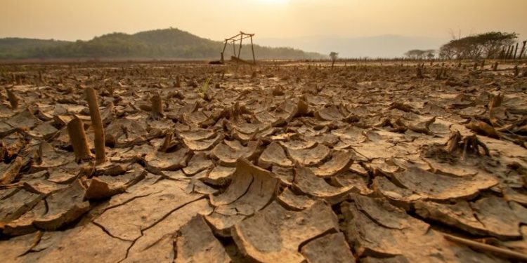 Pericol de „El Nino”: Organizația Mondială de Meteorologie previne toate țările lumii să se pregătească de fenomene extreme și temperaturi record | VIDEO