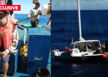 В Тихом океане спасли моряка и его собаку: Они два месяца дрейфовали после крушения