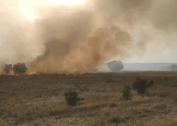 Incendiu la frontieră cu Ucraina: Focul s-a extins pe o suprafață de 1,5 ha | VIDEO