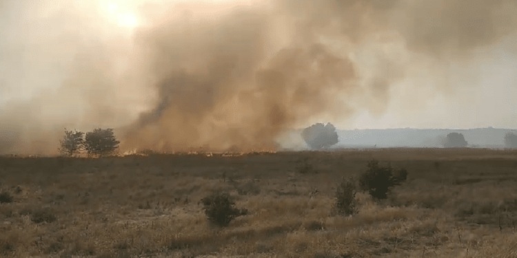 Incendiu la frontieră cu Ucraina: Focul s-a extins pe o suprafață de 1,5 ha | VIDEO