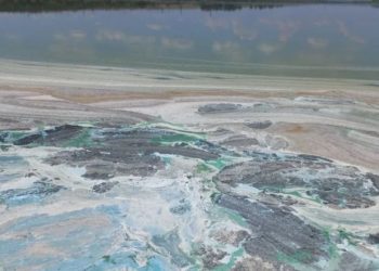 Fenomen ciudat, observat pe un lac din Vulcănești: Apa, colorată în verde