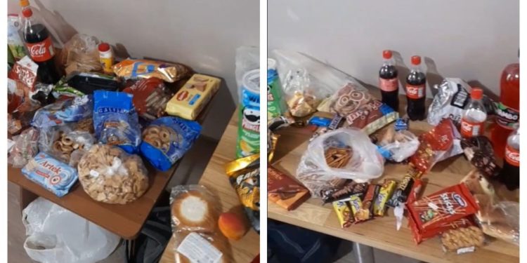 Alimente păstrate neconform, depistate în tabere. ANSA: Nu aduceți copiilor produse interzise