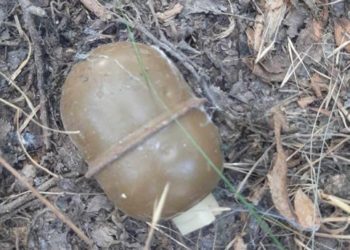 Descoperire „explozivă”, la Ungheni. Muniții în stare funcțională au fost depistate în preajma unui lac | VIDEO