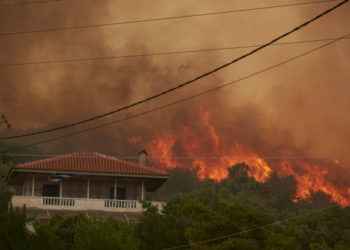 Incendii masive de vegetație, în Grecia. Lângă Atena, flăcările ating înălțimi de peste 5 metri. Statul Elen cere ajutorul UE | VIDEO