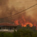 Incendii masive de vegetație, în Grecia. Lângă Atena, flăcările ating înălțimi de peste 5 metri. Statul Elen cere ajutorul UE | VIDEO