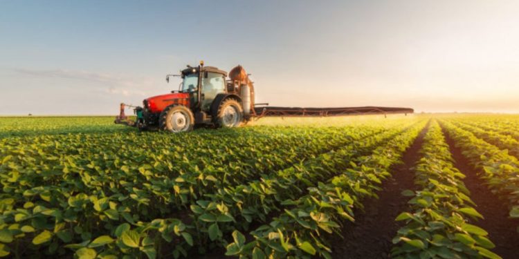 AIPA: Un miliard de lei a fost debursat de la începutul acestui an, în conturile beneficiarilor de subvenții. Ce spune ministrul Agriculturii despre formele de subvenționare | VIDEO