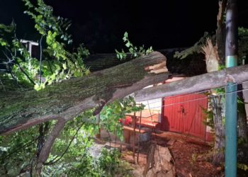 Distrugeri masive în urma furtunii și a ploilor din 25 iulie: La această oră, aproape 40 de localități rămân încă fără electricitate | VIDEO