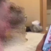 „Sunt aici, în zona vamală”. Atacatorul de la Aeroportul Chișinău ar fi vorbit cu mama sa la telefon, după ce a comis dublul omor | VIDEO