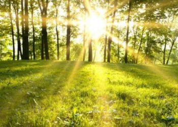 Meteorologii anunță vreme frumoasă cu maxime de până la +31 de grade Celsius