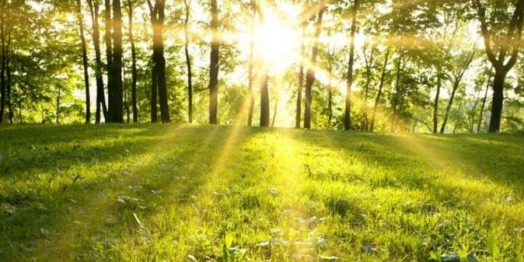 Meteorologii anunță vreme frumoasă cu maxime de până la +31 de grade Celsius