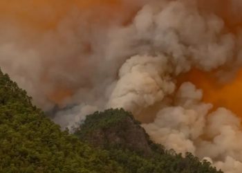 Пожары на Тенерифе могли начаться из-за поджогов