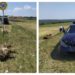 Șoferul unui Lexus a intrat într-o turmă de oi. 29 de animale au murit | VIDEO