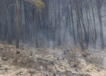 Alertă maximă de incendii în Grecia: Echipele de intervenție au găsit alte 18 cadavre. Ce spune MAEIE | VIDEO