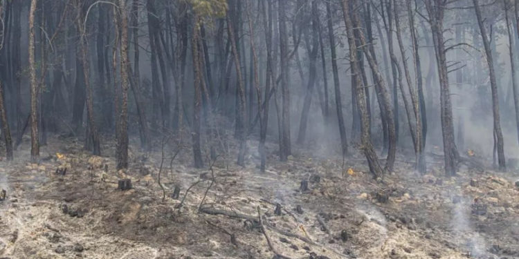 Alertă maximă de incendii în Grecia: Echipele de intervenție au găsit alte 18 cadavre. Ce spune MAEIE | VIDEO