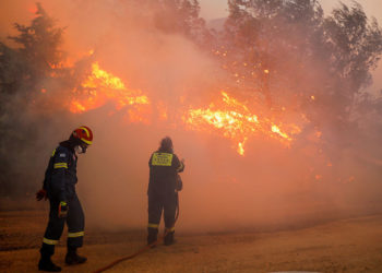 Греческие спасатели не могут взять под контроль масштабные лесные пожары