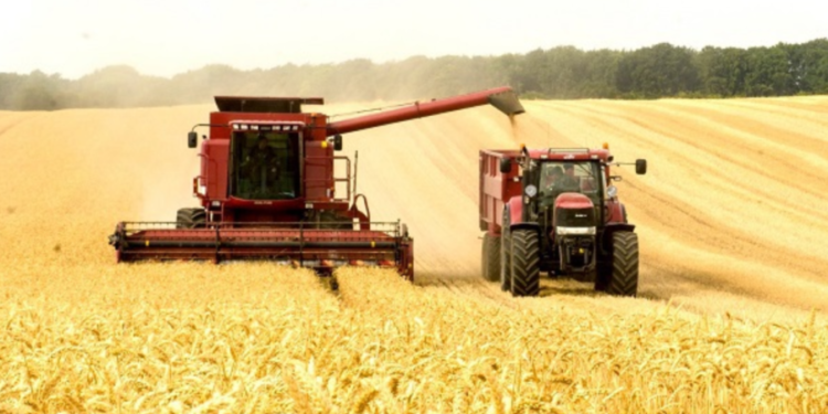 Fermierii vor primi 200 de milioane de lei. Dorin Recean: Sper că agricultorii apreciază acest fapt | VIDEO