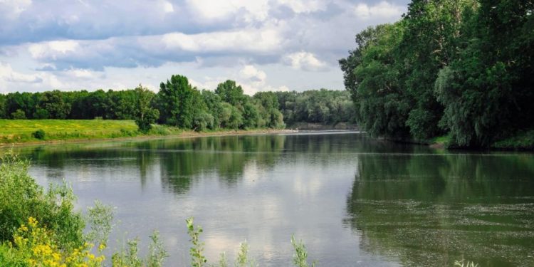Тепло, осадков не предвидится: прогноз погоды на четверг