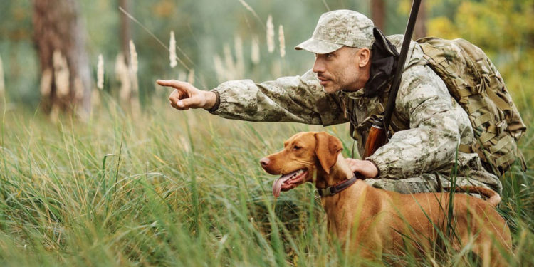 В Молдове открывается сезон охоты: отстрел шакалов не ограничен