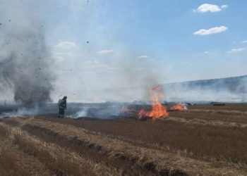 166 гектаров сухой растительности выгорело по районам страны из-за жары