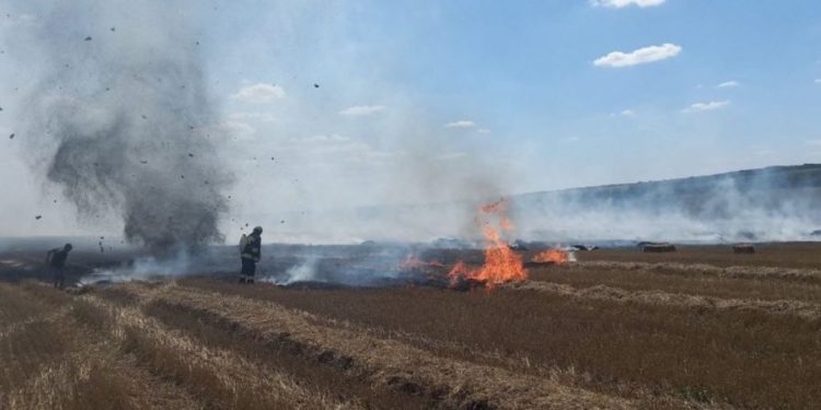 166 гектаров сухой растительности выгорело по районам страны из-за жары