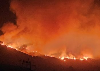 Из-за пожаров на Тенерифе эвакуировали несколько сел