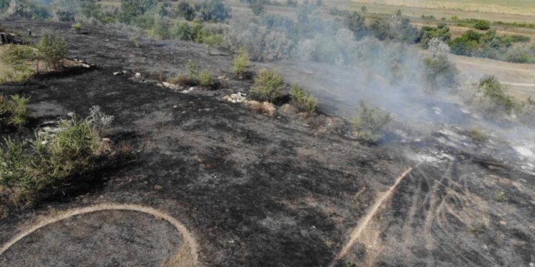 Incendiul din comuna Stăuceni: Patru echipe de pompieri luptă de mai multe ore cu flăcările. Primarul localității spune că focul ar putea ajunge la cartiere rezidențiale | VIDEO