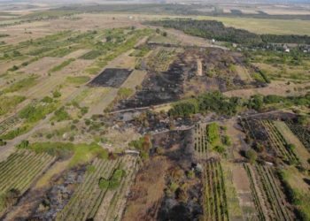 Flăcările, tot mai aproape de cartierul locativ, la Stăuceni. Primarul comunei cere ajutorul bărbaților: Implicați-vă, nu fiți indiferenți!