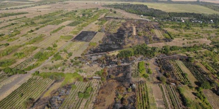 Flăcările, tot mai aproape de cartierul locativ, la Stăuceni. Primarul comunei cere ajutorul bărbaților: Implicați-vă, nu fiți indiferenți!