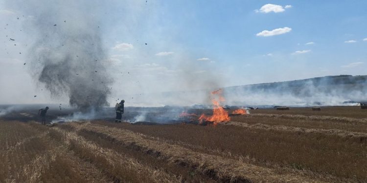 Aproape 170 de hectare de vegetație uscată au fost mistuite de flăcări, în mai multe localități din țară. Cu ce recomandări vin pompierii | VIDEO