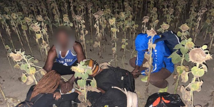 Cinci cetățeni din Burundi și Camerun, reținuți în încercare de a trece ilegal frontiera moldo-română: Aceștia urmează a fi expulzați