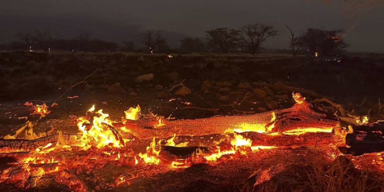 На Гавайях из-за лесных пожаров погибли 89 человек