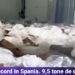 Captură record de droguri în Spania. Traficanții au trimis în Europa 9,5 tone de stupefiante