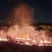 Incendiu puternic în Parcul IOR din București. S-au aprins 4.000 de metri pătrați de vegetație