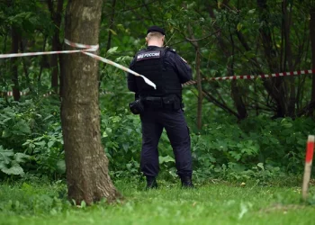 Москву впервые атаковали беспилотником среди бела дня