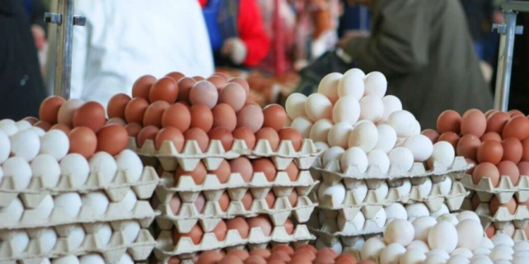 Prețul ouălor a crescut cu 10,8% în iulie: Legumele, zahărul, uleiul, dar și unele servicii s-au ieftinit