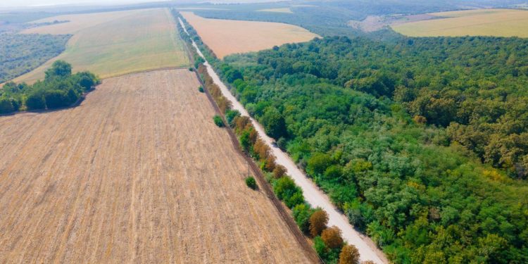 Programul lansat de Ilan Șor „Orhei – raion de vis”, continuă: Un drum cu lungimea de 2,5 kilometri, care asigură conexiunea dintre trei sate cu centrul raional, se repară capital: „Oamenii au așteptat acest proiect aproape toată viața” | VIDEO