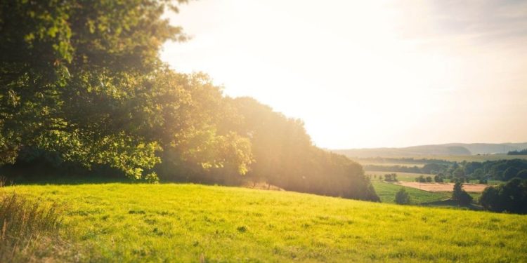 Тепло и без осадков: какая погода ждет жителей Молдовы в субботу?