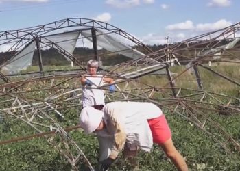 În așteptarea ajutorului promis de autorități: În raionul Edineț, localnicii din satele afectate continuă să lichideze consecințele urgiei, în timp ce agricultorii au rămas cu roada compromisă | VIDEO