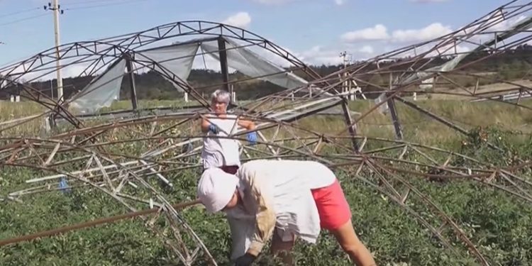 În așteptarea ajutorului promis de autorități: În raionul Edineț, localnicii din satele afectate continuă să lichideze consecințele urgiei, în timp ce agricultorii au rămas cu roada compromisă | VIDEO