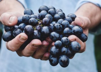 Ministerul Agriculturii: Preţul orientativ de achiziţionare a strugurilor pentru vin este de 6 lei 50 de bani per kilogram | VIDEO