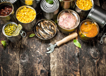 Un nou pachet de asistență umanitară pentru Ucraina, votat de Guvernul Recean: Vor fi oferite conserve de carne și pește, în valoare de peste trei milioane de lei | VIDEO