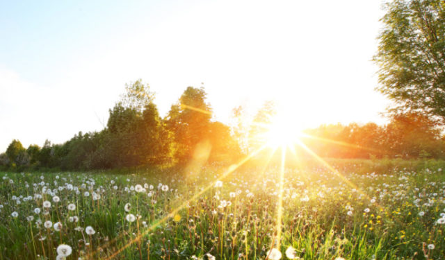 Vreme frumoasă în prima zi de weekend: Câte grade ne promit meteorologii