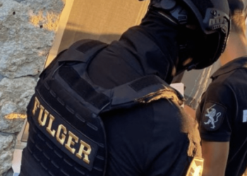 Воровали местные: полиция провела обыски в Криулянском районе у подозреваемых