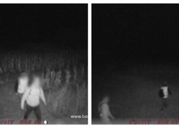 Задержана группа нелегалов из Украины: кто был проводником и сколько стоят услуги