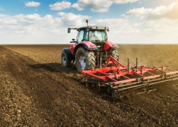 Ассоциация «Forța Fermierilor» предупреждает о протестах, если власти не запретят импорт подсолнечника до конца года | VIDEO