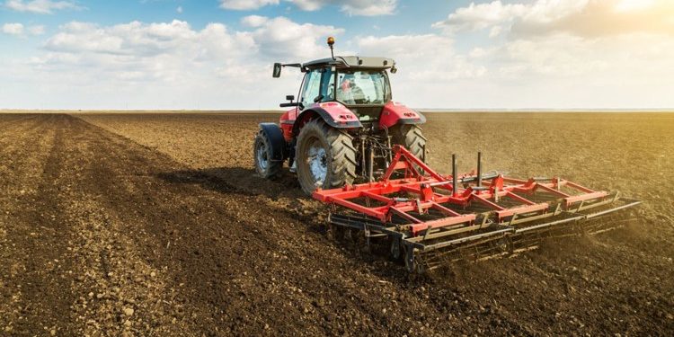 Ассоциация „Forța Fermierilor” предупреждает о протестах, если власти не запретят импорт подсолнечника до конца года | VIDEO