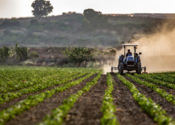 Minus un document: A fost exclusă condiția adăugată recent pentru care agricultorii afectați de secetă puteau primi suport financiar | VIDEO